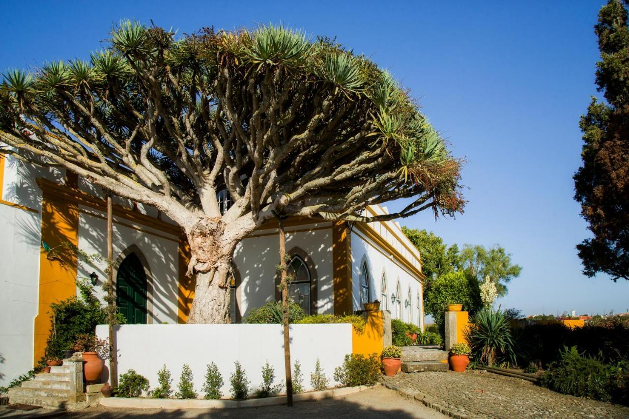 Casa Do Castelo - Turismo De Habitacao Bed & Breakfast Atouguia Da Baleia Luaran gambar